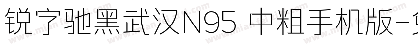 锐字驰黑武汉N95 中粗手机版字体转换